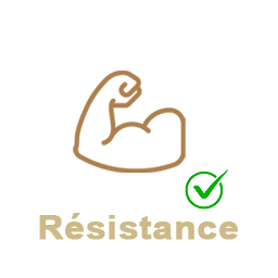 icone résistance